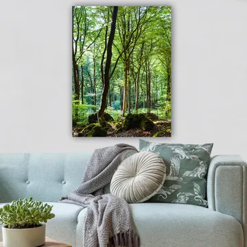 Lerretsbilde 70x100 cm - Frodig skog med høye trær og frodig vegetasjon - Grønn / Brun - Interiør - Maleri & posters - Lerretsbilder