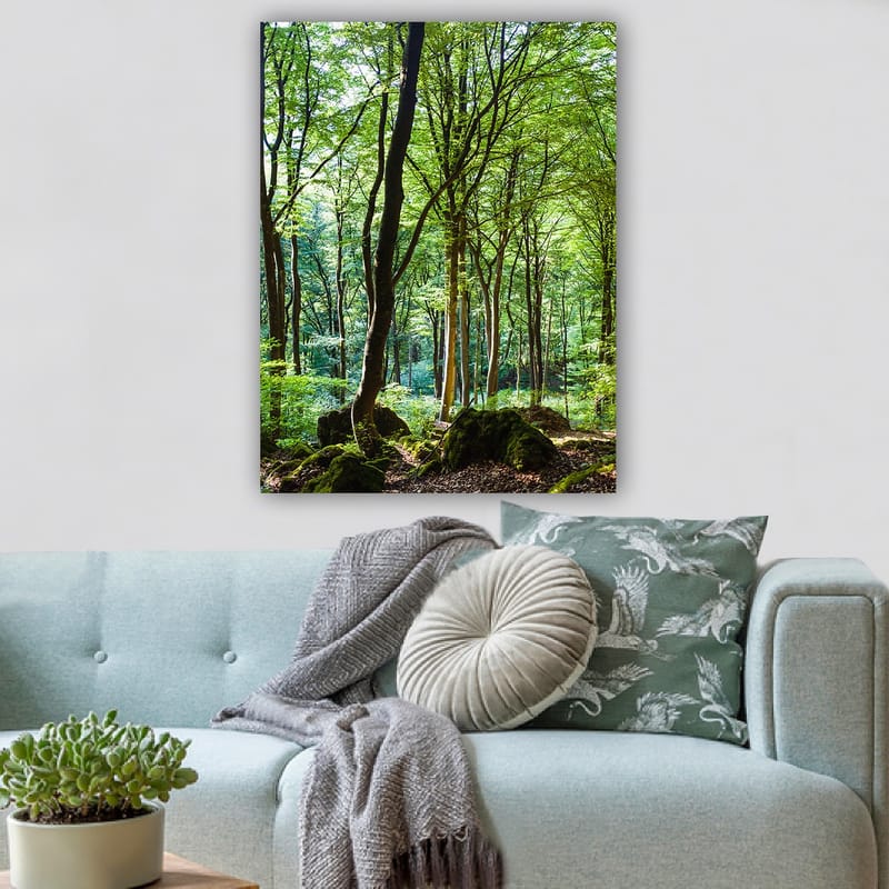 Lerretsbilde 70x100 cm - Frodig skog med høye trær og frodig vegetasjon - Grønn / Brun - Interiør - Maleri & posters - Lerretsbilder