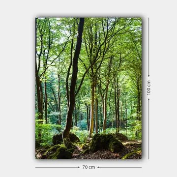 Lerretsbilde 70x100 cm - Frodig skog med høye trær og frodig vegetasjon - Grønn / Brun - Interiør - Maleri & posters - Lerretsbilder