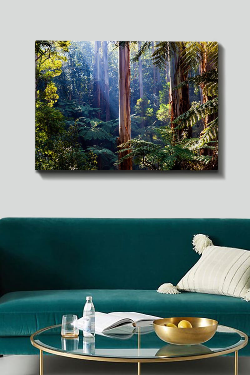 Lerretsbilde 70x100 cm - Frodig skog med høye trær og grønne planter som skaper en rolig og naturlig atmosfære - Grønn / Brun / Lys blå - Interiør - Maleri & posters - Lerretsbilder