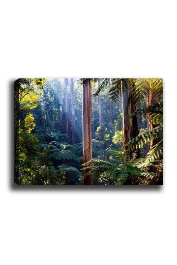 Lerretsbilde 70x100 cm - Frodig skog med høye trær og grønne planter som skaper en rolig og naturlig atmosfære - Grønn / Brun / Lys blå - Interiør - Maleri & posters - Lerretsbilder