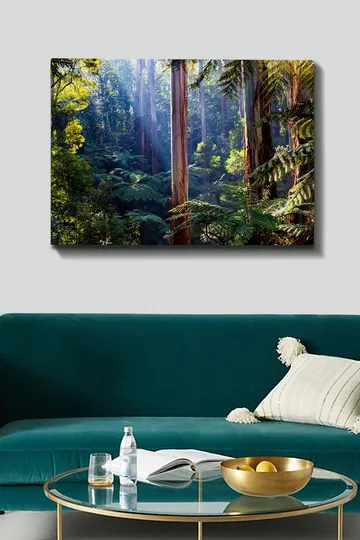 Lerretsbilde 70x100 cm - Frodig skog med høye trær og grønne planter som skaper en rolig og naturlig atmosfære - Grønn / Brun / Lys blå - Interiør - Maleri & posters - Lerretsbilder