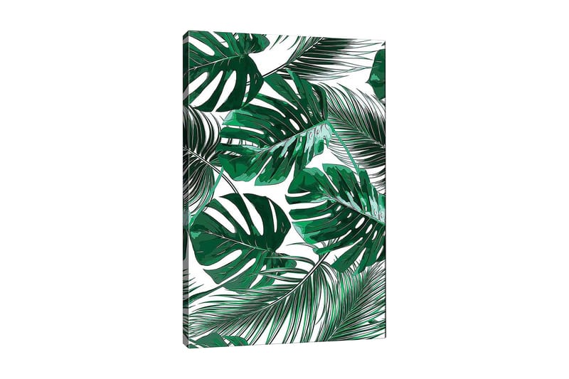Lerretsbilde 70x100 cm - Frodige palmeblader i forskjellige former og størrelser, Mørkegrønn / Lysegrønn