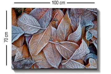 Lerretsbilde 70x100 cm - Frosne blader i høstfarger - Oransje / Grå / Hvit - Interiør - Maleri & posters - Lerretsbilder