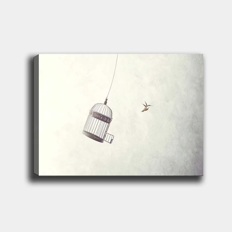 Lerretsbilde 70x100 cm - Fuglebur hengende i luften med en fugl som flyr i nærheten - Grå / Svart / Hvit - Interiør - Maleri & posters - Lerretsbilder