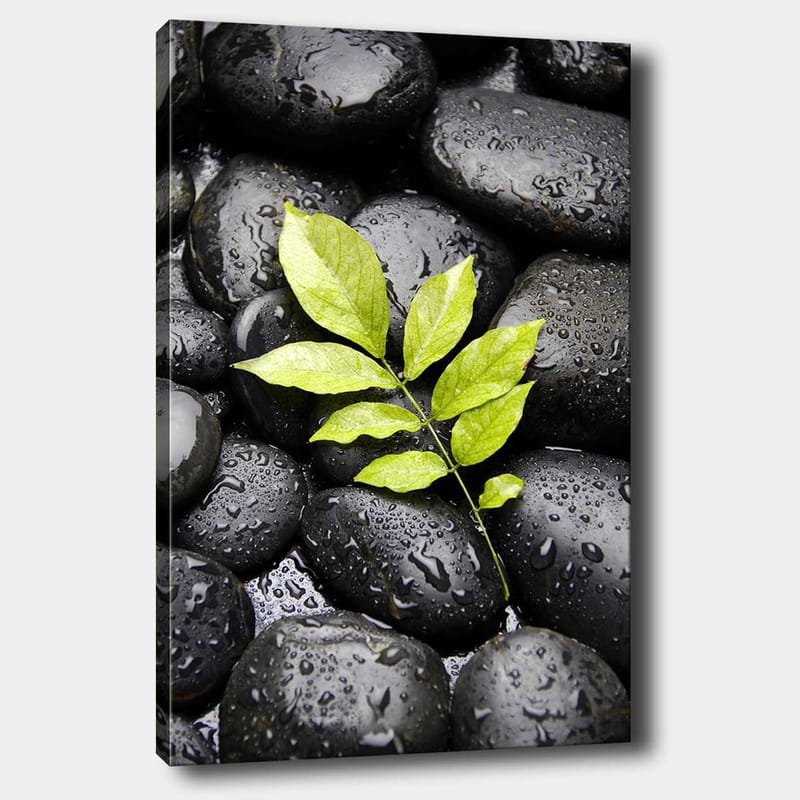 Lerretsbilde 70x100 cm - Grønn kvist som vokser ut av en samling svarte steiner, Svart / Grønn