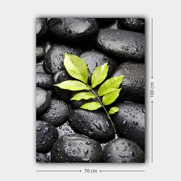 Lerretsbilde 70x100 cm - Grønn kvist som vokser ut av en samling svarte steiner - Svart / Grønn - Interiør - Maleri & posters - Lerretsbilder