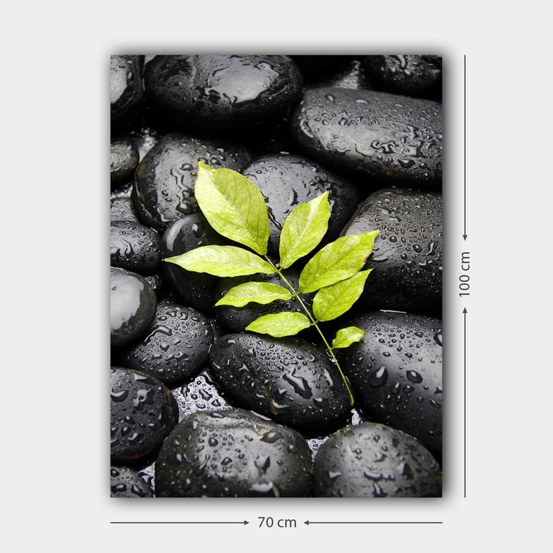 Lerretsbilde 70x100 cm - Grønn kvist som vokser ut av en samling svarte steiner - Svart / Grønn - Interiør - Maleri & posters - Lerretsbilder