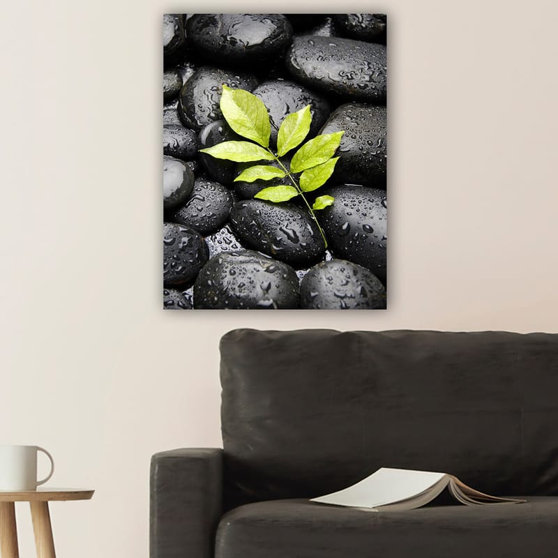 Lerretsbilde 70x100 cm - Grønn kvist som vokser ut av en samling svarte steiner - Svart / Grønn - Interiør - Maleri & posters - Lerretsbilder