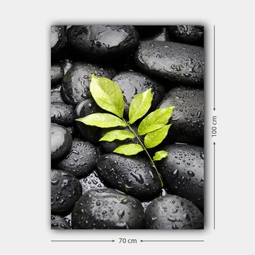 Lerretsbilde 70x100 cm - Grønn kvist som vokser ut av en samling svarte steiner - Svart / Grønn - Interiør - Maleri & posters - Lerretsbilder