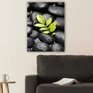 Lerretsbilde 70x100 cm - Grønn kvist som vokser ut av en samling svarte steiner - Svart / Grønn - Interiør - Maleri & posters - Lerretsbilder