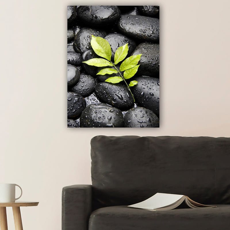 Lerretsbilde 70x100 cm - Grønn kvist som vokser ut av en samling svarte steiner - Svart / Grønn - Interiør - Maleri & posters - Lerretsbilder
