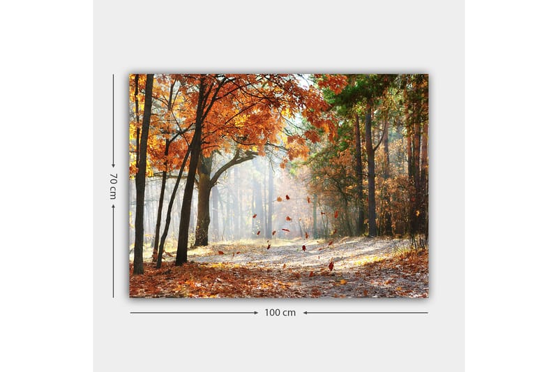 Lerretsbilde 70x100 cm - Høstskoglandskap med fallende blader i varme farger - Oransje / Brun / Grønn - Interiør - Maleri & posters - Lerretsbilder