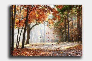 Lerretsbilde 70x100 cm - Høstskoglandskap med fallende blader i varme farger - Oransje / Brun / Grønn - Interiør - Maleri & posters - Lerretsbilder