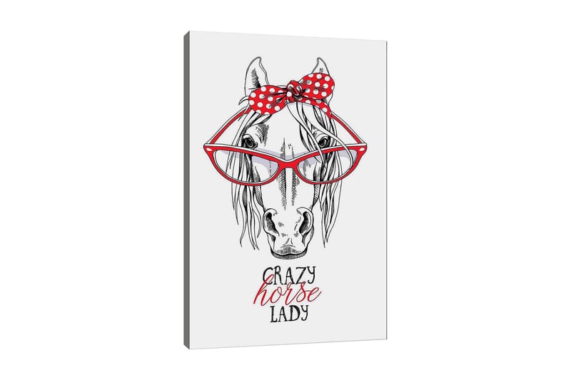 Lerretsbilde 70x100 cm - Humoristisk illustrasjon av et hode med store briller og en rød prikkete sløyfe, Rød / Svart / Hvit