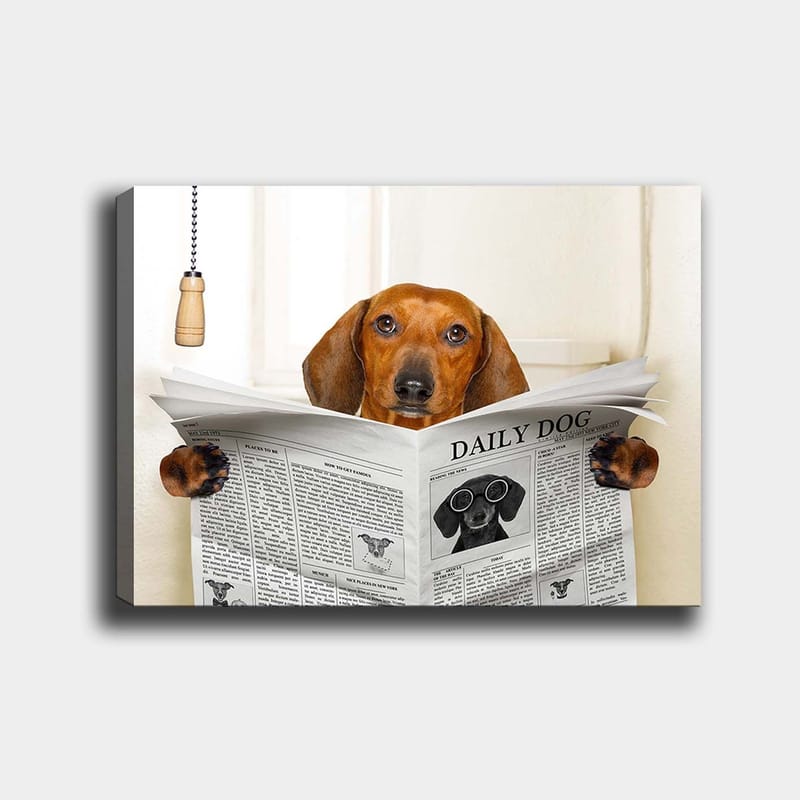 Lerretsbilde 70x100 cm - Hund som leser avisen Daily Dog med et nysgjerrig uttrykk, Brun / Svart