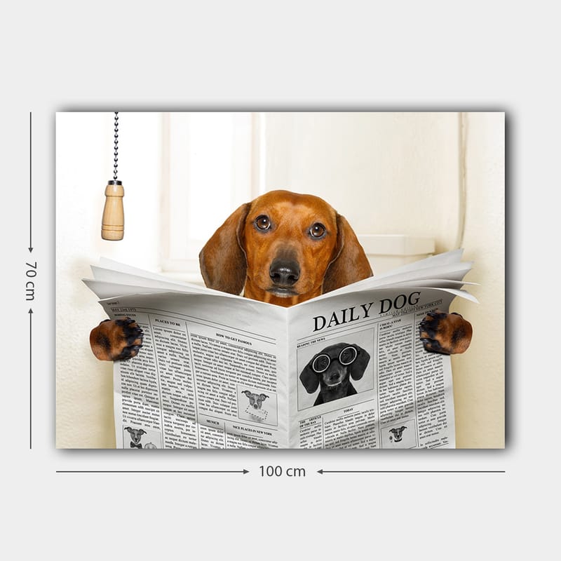 Lerretsbilde 70x100 cm - Hund som leser avisen Daily Dog med et nysgjerrig uttrykk - Brun / Svart - Interiør - Maleri & posters - Lerretsbilder
