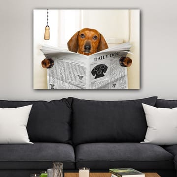 Lerretsbilde 70x100 cm - Hund som leser avisen Daily Dog med et nysgjerrig uttrykk - Brun / Svart - Interiør - Maleri & posters - Lerretsbilder
