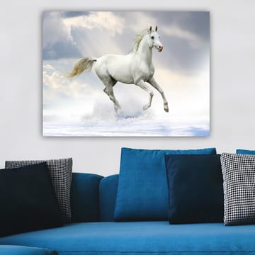 Lerretsbilde 70x100 cm - Hvit hest galopperer gjennom det snødekte landskapet under en dramatisk himmel - Hvit / Lys blå / Grå - Interiør - Maleri & posters - Lerretsbilder