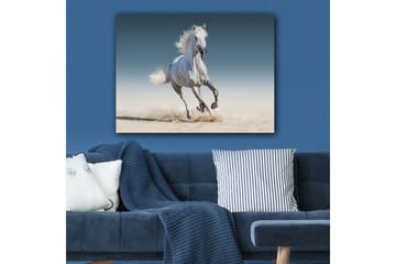 Lerretsbilde 70x100 cm - Hvit hest galopperer gjennom et sandete miljø - Hvit / Beige / Lys blå - Interiør - Maleri & posters - Lerretsbilder