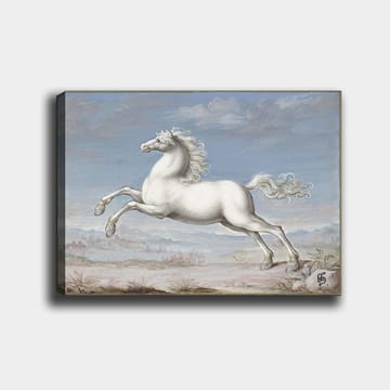 Lerretsbilde 70x100 cm - Hvit hest som hopper forover i et naturskjønt landskapsmiljø - Hvit / Lys blå / Beige - Interiør - Maleri & posters - Lerretsbilder