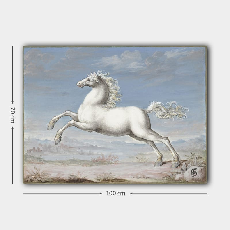 Lerretsbilde 70x100 cm - Hvit hest som hopper forover i et naturskjønt landskapsmiljø - Hvit / Lys blå / Beige - Interiør - Maleri & posters - Lerretsbilder
