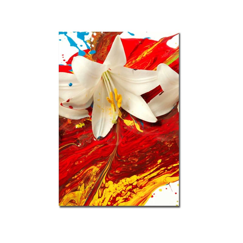 Lerretsbilde 70x100 cm - Hvit lilje som står frem mot en bakgrunn av intense røde og gule farger - Rød / Gul / Hvit - Interiør - Maleri & posters - Lerretsbilder