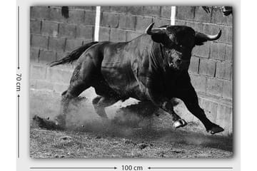 Lerretsbilde 70x100 cm - Kraftig okse i bevegelse, fanget i et øyeblikk av intensitet og styrke - Svart / Grå - Interiør - Maleri & posters - Lerretsbilder