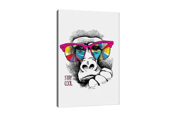Lerretsbilde 70x100 cm - Kul gorilla med fargerike solbriller som uttrykker en avslappet holdning - Rosa / Gul / Blå - Interiør - Maleri & posters - Lerretsbilder