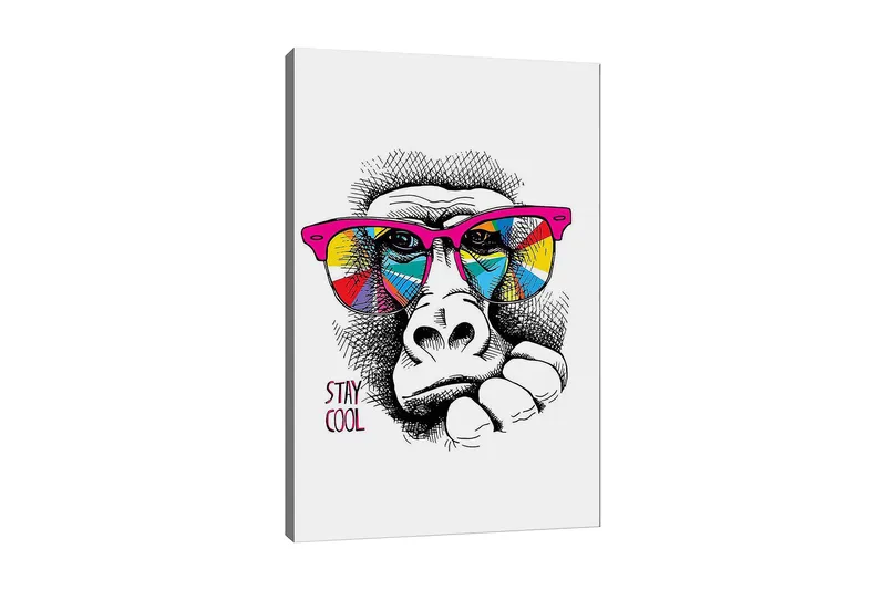 Lerretsbilde 70x100 cm - Kul gorilla med fargerike solbriller som uttrykker en avslappet holdning, Rosa / Gul / Blå