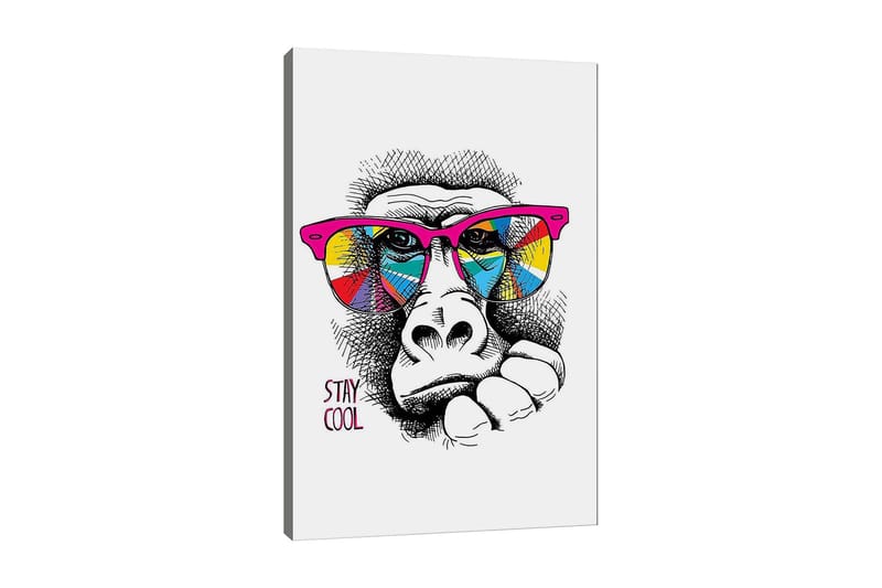 Lerretsbilde 70x100 cm - Kul gorilla med fargerike solbriller som uttrykker en avslappet holdning, Rosa / Gul / Blå