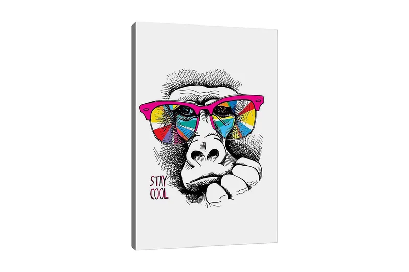 Lerretsbilde 70x100 cm - Kul gorilla med fargerike solbriller som uttrykker en avslappet holdning, Rosa / Gul / Blå