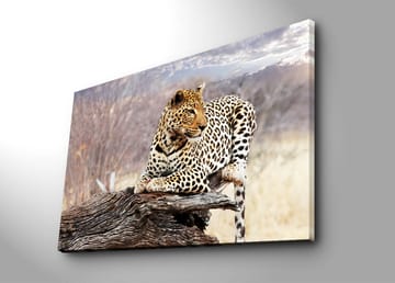 Lerretsbilde 70x100 cm - Leopard hviler på en trestamme i et naturlig miljø - Gull / Svart / Brun - Interiør - Maleri & posters - Lerretsbilder