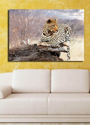 Lerretsbilde 70x100 cm - Leopard hviler på en trestamme i et naturlig miljø - Gull / Svart / Brun - Interiør - Maleri & posters - Lerretsbilder