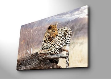 Lerretsbilde 70x100 cm - Leopard hviler på en trestamme i et naturlig miljø - Gull / Svart / Brun - Interiør - Maleri & posters - Lerretsbilder