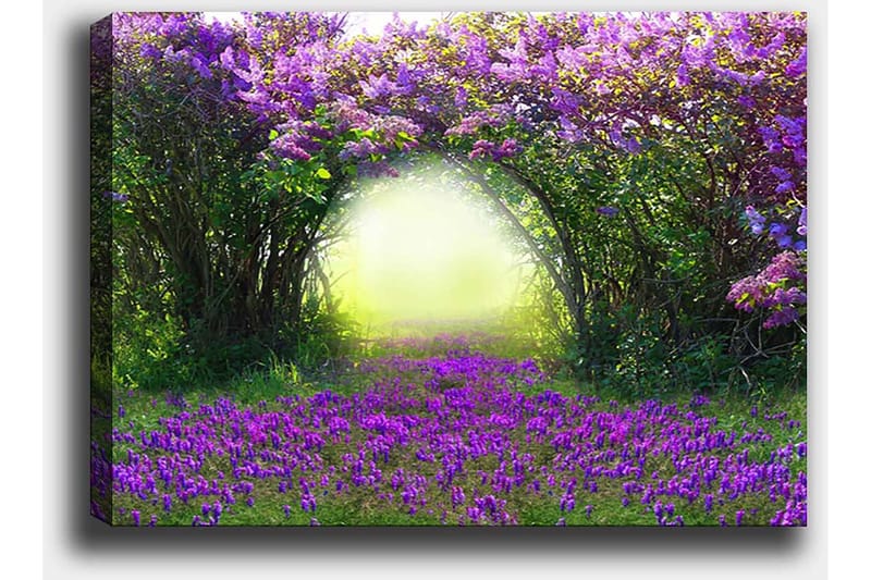 Lerretsbilde 70x100 cm - Magisk hage med lilla blomster som fører inn i en lys tunnel av grøntområder - Lilla / Grønn / Gul - Interiør - Maleri & posters - Lerretsbilder