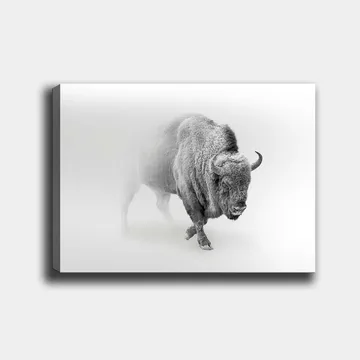 Lerretsbilde 70x100 cm - Majestetisk bison som går gjennom tåke - Grå / Hvit - Interiør - Maleri & posters - Lerretsbilder