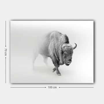 Lerretsbilde 70x100 cm - Majestetisk bison som går gjennom tåke - Grå / Hvit - Interiør - Maleri & posters - Lerretsbilder