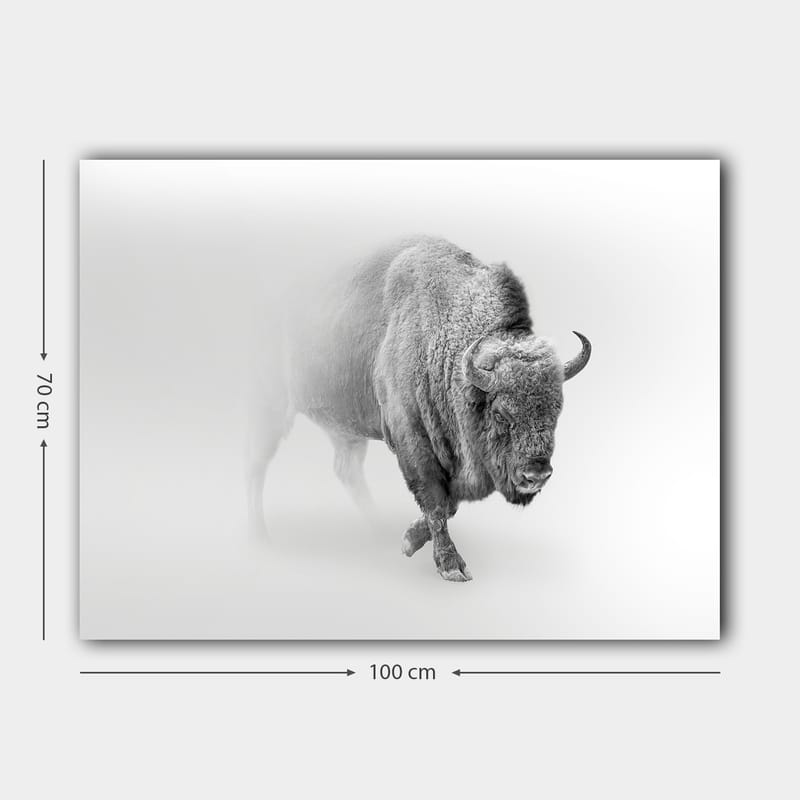 Lerretsbilde 70x100 cm - Majestetisk bison som går gjennom tåke - Grå / Hvit - Interiør - Maleri & posters - Lerretsbilder