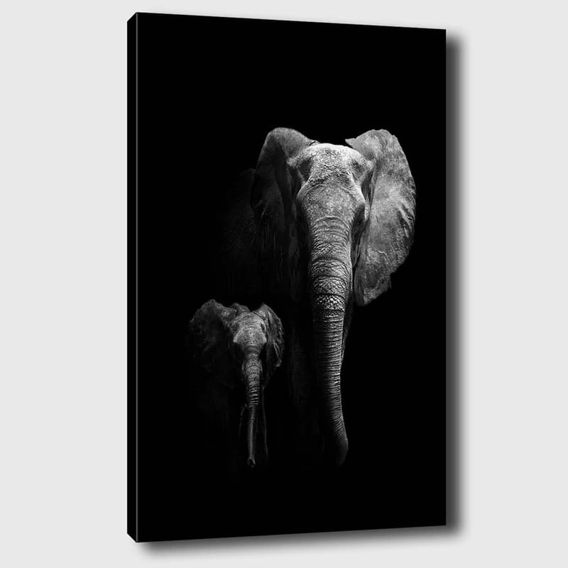 Lerretsbilde 70x100 cm - Majestetisk elefant og en kalv som fremhever forholdet deres i en dramatisk svart-hvitt-komposisjon, Svart / Grå