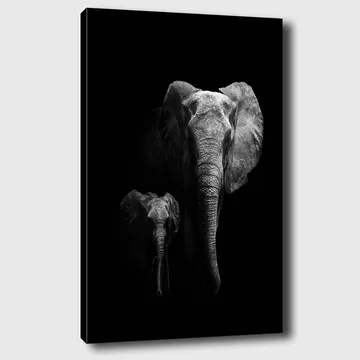 Lerretsbilde 70x100 cm - Majestetisk elefant og en kalv som fremhever forholdet deres i en dramatisk svart-hvitt-komposisjon - Svart / Grå - Interiør - Maleri & posters - Lerretsbilder