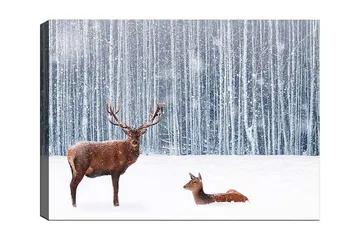 Lerretsbilde 70x100 cm - Majestetisk elg og hjort i et snødekt skogsmiljø - Brun / Hvit / Grå - Interiør - Maleri & posters - Lerretsbilder