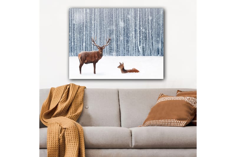 Lerretsbilde 70x100 cm - Majestetisk elg og hjort i et snødekt skogsmiljø - Brun / Hvit / Grå - Interiør - Maleri & posters - Lerretsbilder