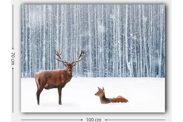 Lerretsbilde 70x100 cm - Majestetisk elg og hjort i et snødekt skogsmiljø - Brun / Hvit / Grå - Interiør - Maleri & posters - Lerretsbilder