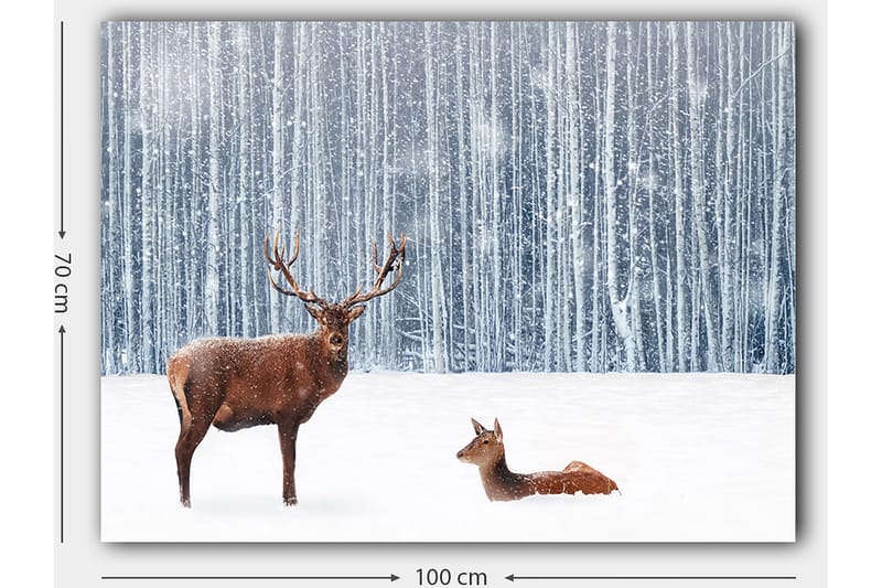 Lerretsbilde 70x100 cm - Majestetisk elg og hjort i et snødekt skogsmiljø - Brun / Hvit / Grå - Interiør - Maleri & posters - Lerretsbilder