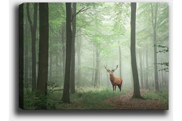 Lerretsbilde 70x100 cm - Majestetisk elg står stolt i en tåkete skog omgitt av grønne trær - Grønn / Brun / Grå - Interiør - Maleri & posters - Lerretsbilder
