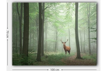 Lerretsbilde 70x100 cm - Majestetisk elg står stolt i en tåkete skog omgitt av grønne trær - Grønn / Brun / Grå - Interiør - Maleri & posters - Lerretsbilder