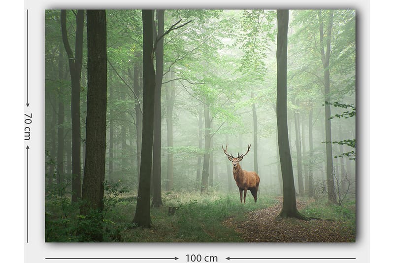 Lerretsbilde 70x100 cm - Majestetisk elg står stolt i en tåkete skog omgitt av grønne trær - Grønn / Brun / Grå - Interiør - Maleri & posters - Lerretsbilder