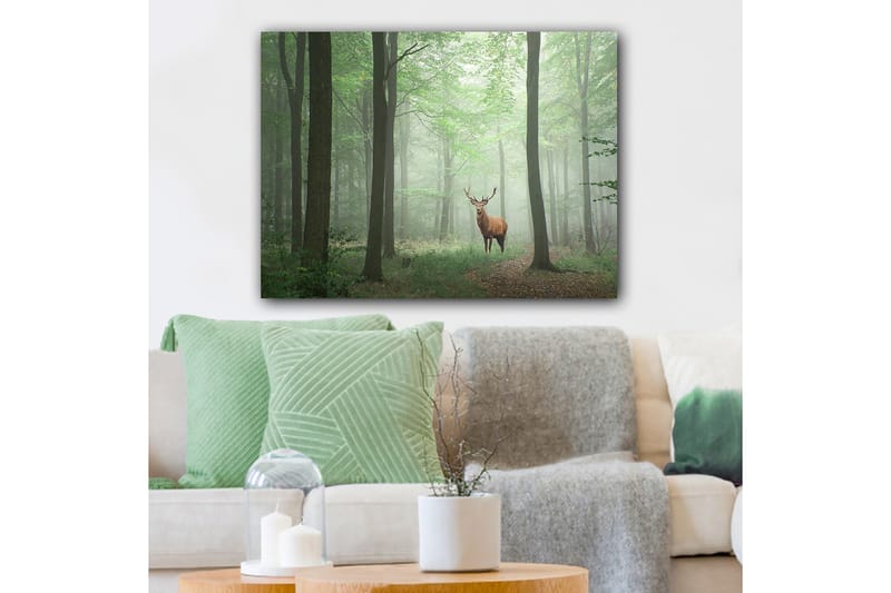 Lerretsbilde 70x100 cm - Majestetisk elg står stolt i en tåkete skog omgitt av grønne trær, Grønn / Brun / Grå
