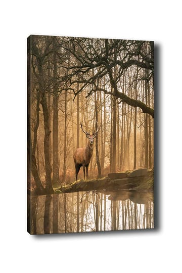 Lerretsbilde 70x100 cm - Majestetisk elg står ved en speilblank innsjø omgitt av tåkete skoger - Brun / Gull / Grønn - Interiør - Maleri & posters - Lerretsbilder